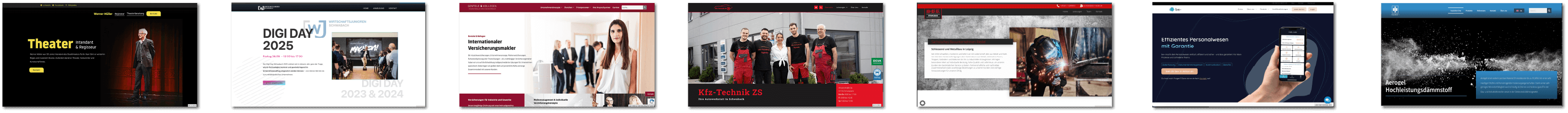 Website aus dem Portfolio von Haudegen Webdesign